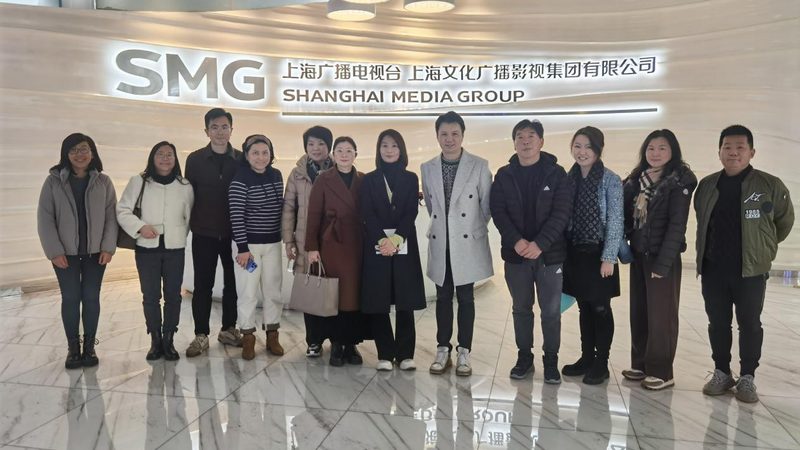 纪录片拍摄案例分析：优缺点解析
