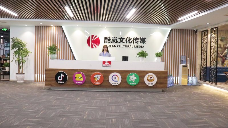 传媒公司注册资金写500万风险